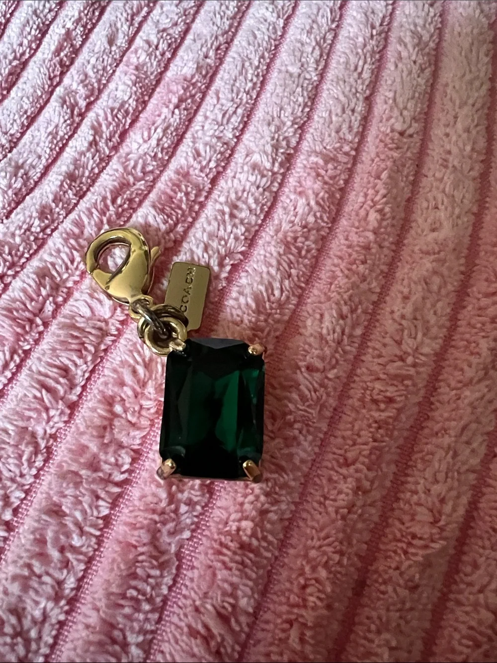 Coach x Wizard of Oz Emerald Charm